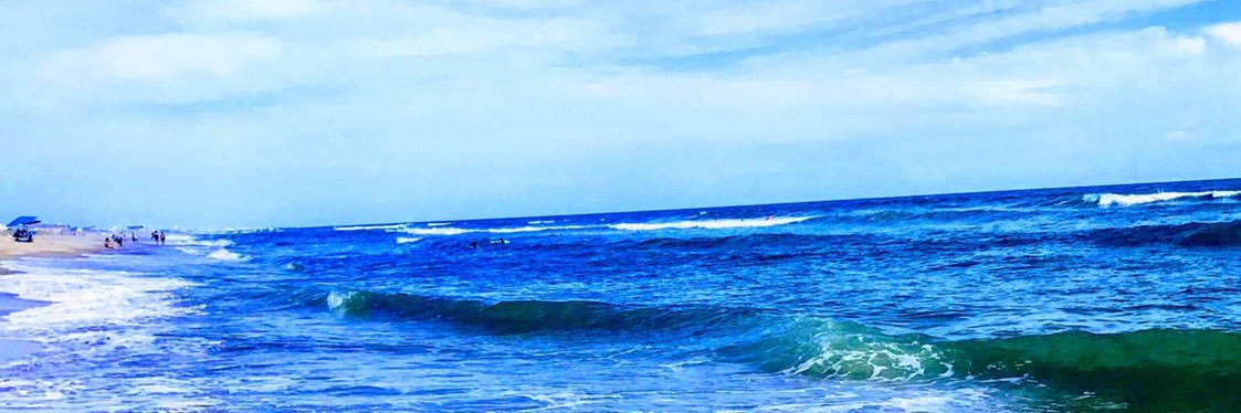 MollyLegitCorl's profile banner image
