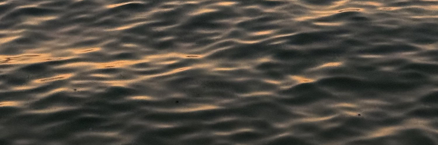 Ver banner
