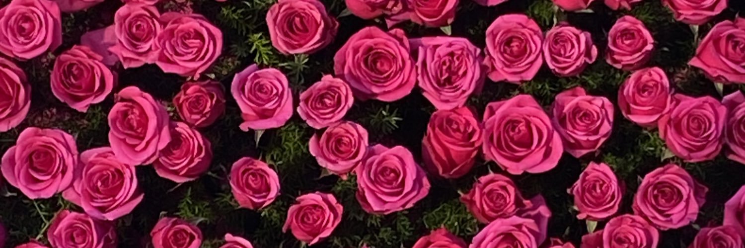 AlstonLindsay's profile banner image