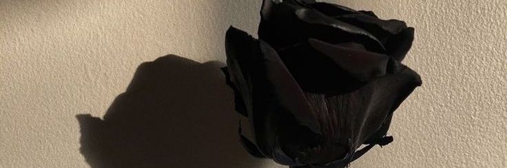 gooddayyfreze's profile banner image