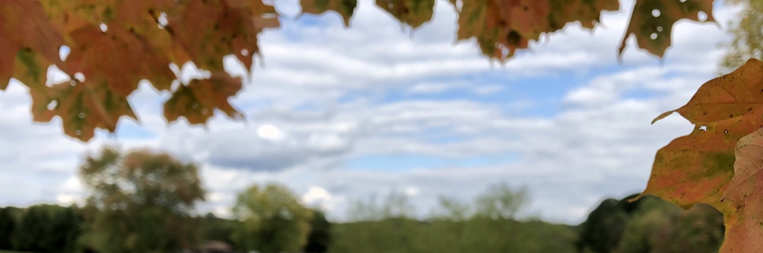 LProrok's profile banner image