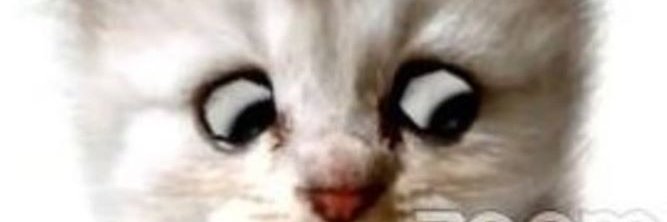 MichaelBuhs's profile banner image