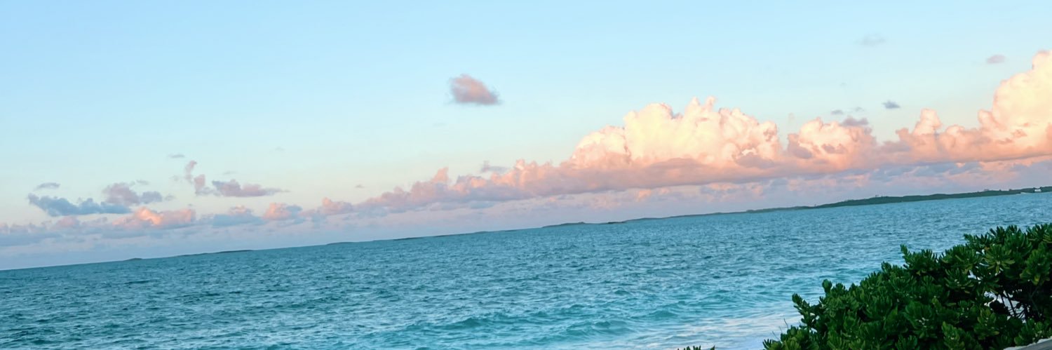 hannahellison_'s profile banner image