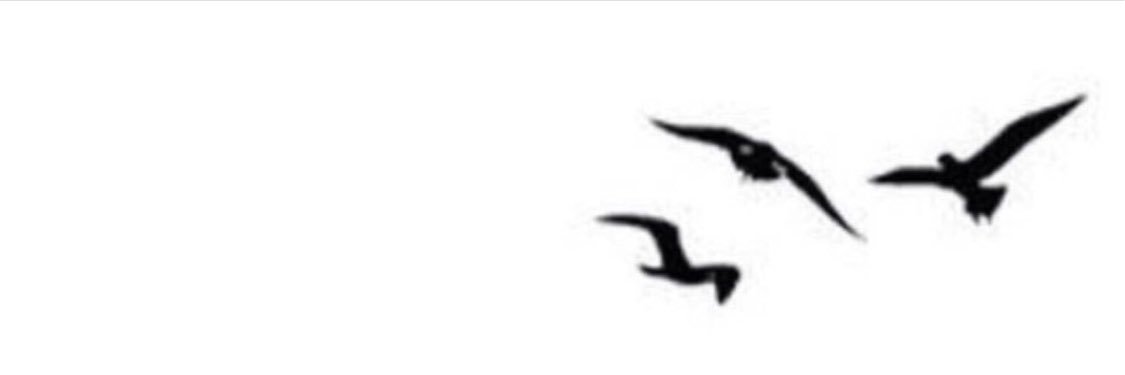 ✨ ﮼ابتهال 🇦🇪 banner