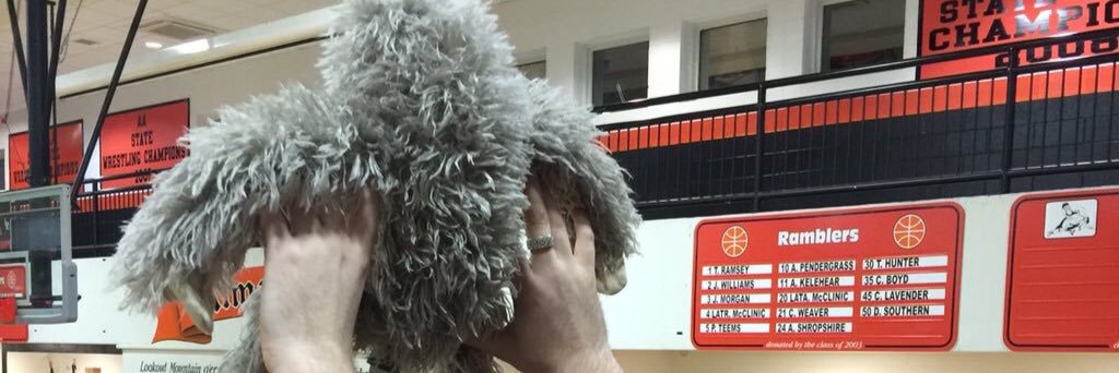 RamblerSloth's profile banner image