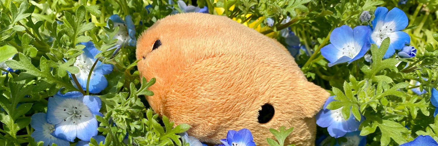posy1028's profile banner image