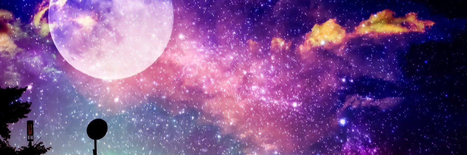 Risa_honkidasu's profile banner image