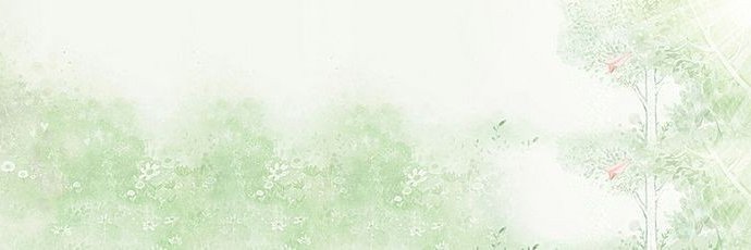 Lexy banner