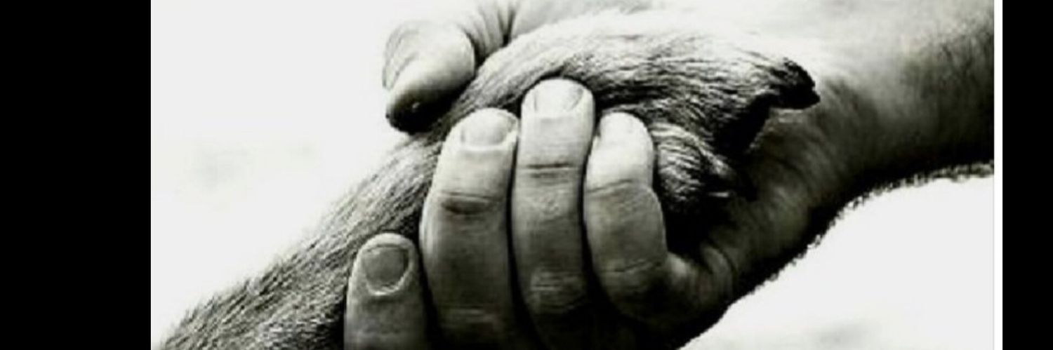 María Camberian🇦🇷 banner