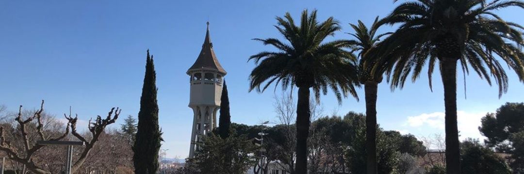 David Soler 🧅 banner