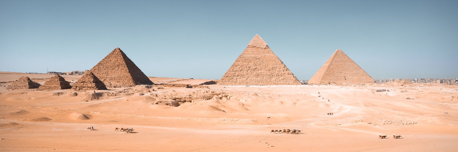 Remington Wilcox banner