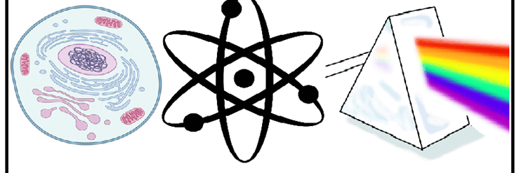 BeeslackScience's profile banner image