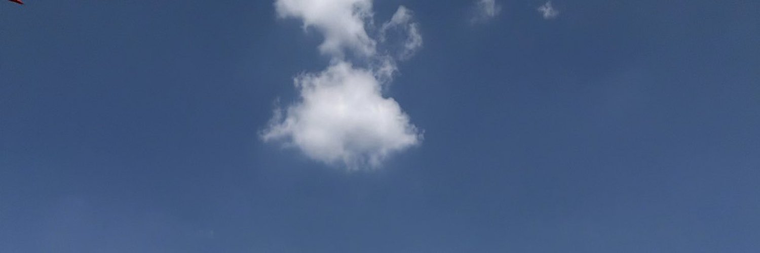 chiamicky's profile banner image
