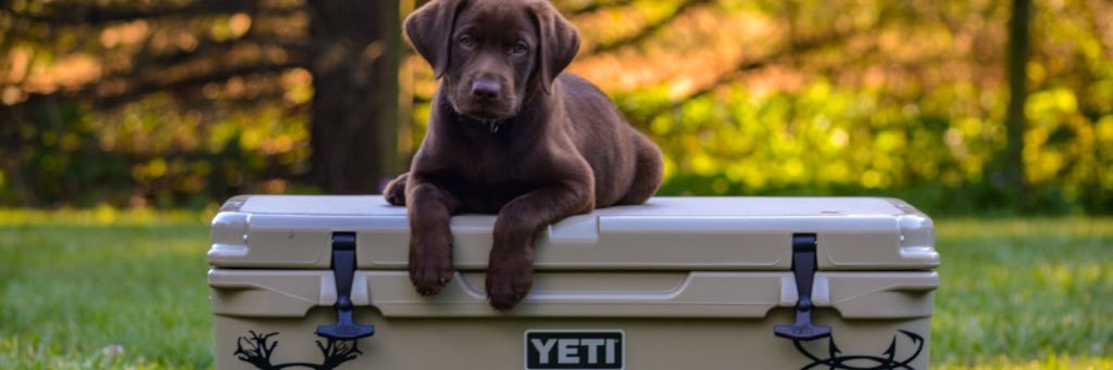 jleeschwartz's profile banner image