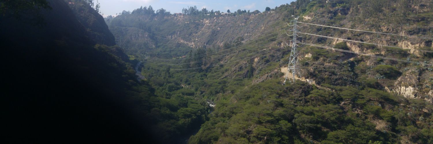 Roberto Benavides banner