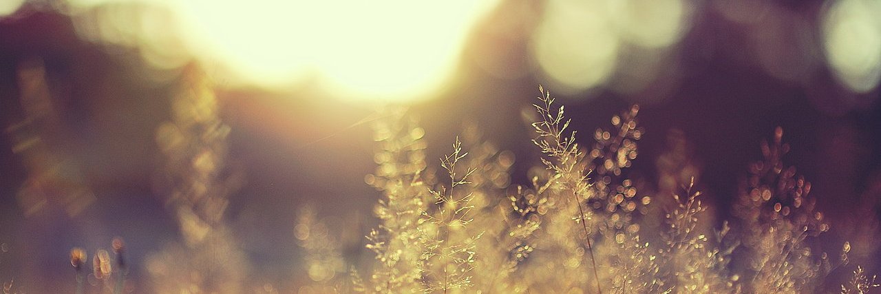thousandarounds's profile banner image