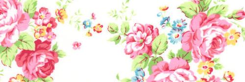 MeldyPrahesti's profile banner image