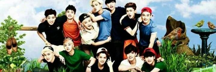 💖PhixoAnneVin banner