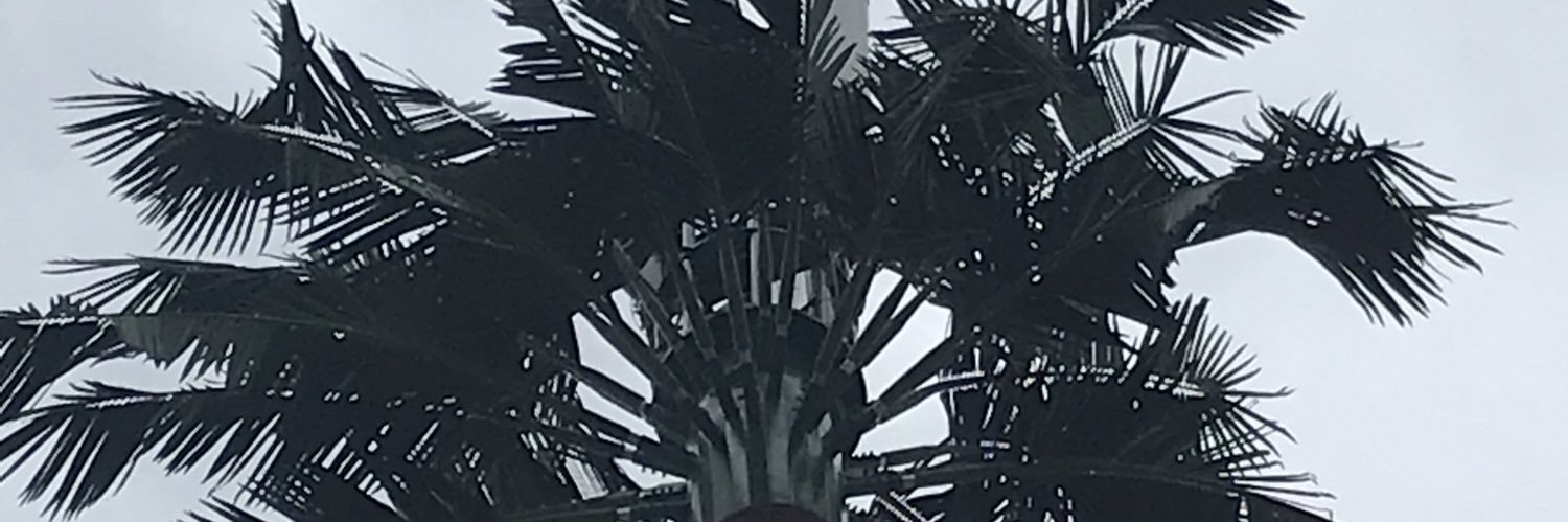 teteroherve's profile banner image