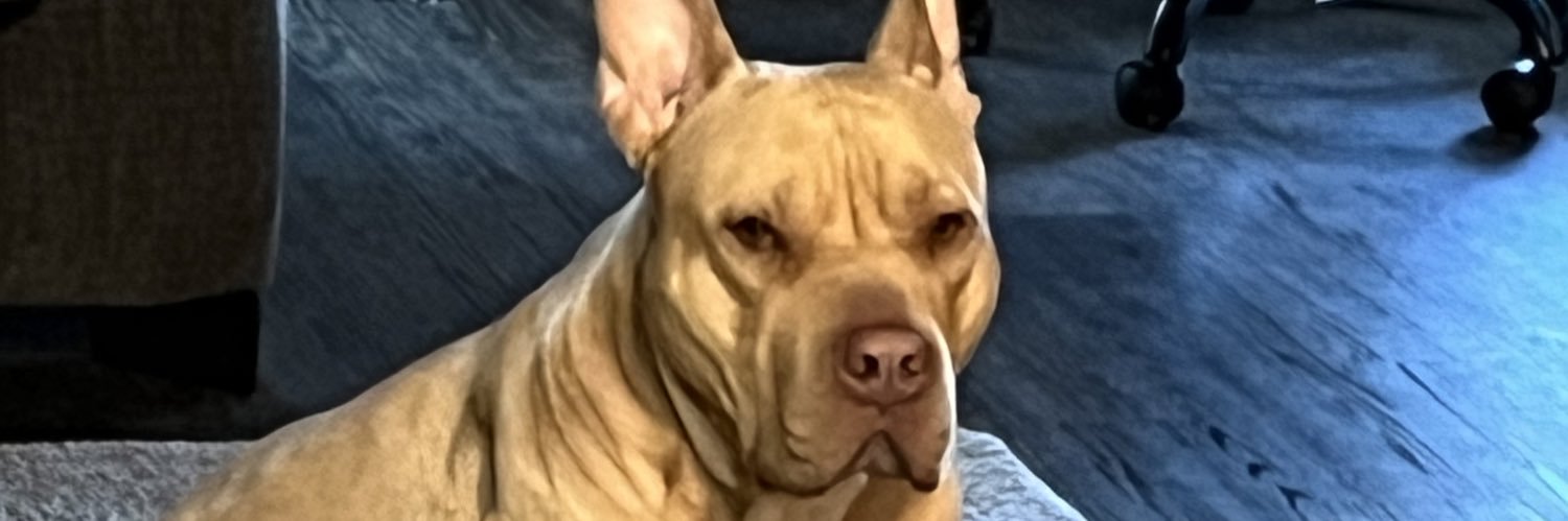 SaqueraS's profile banner image