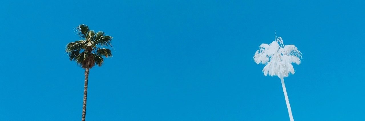 IvanCuadraB's profile banner image