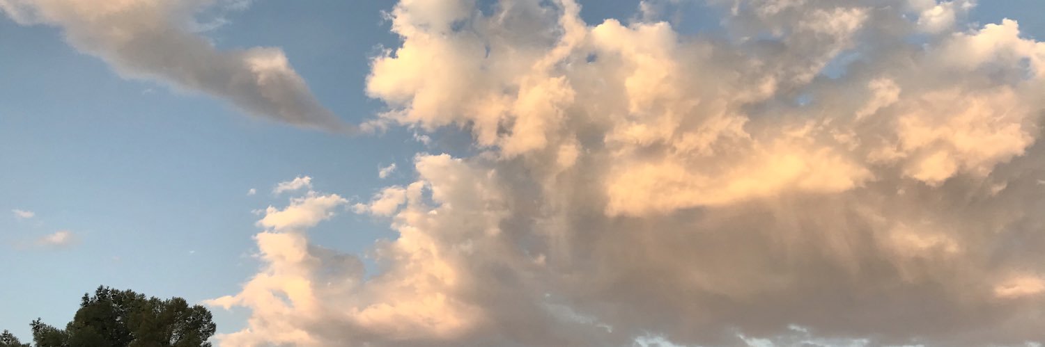 esmeyams's profile banner image