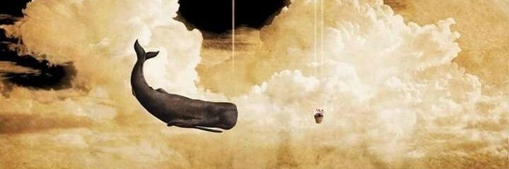 vcr25's profile banner image