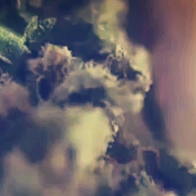 TheLast_Poet's profile banner image