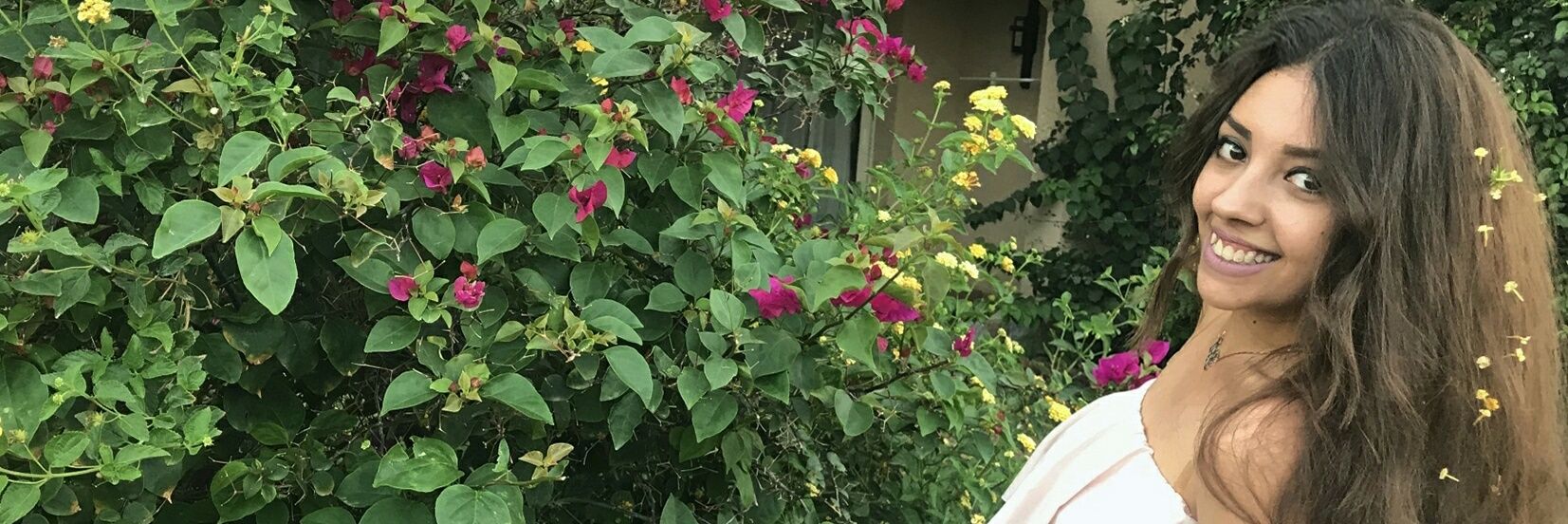 RoseEmad's profile banner image