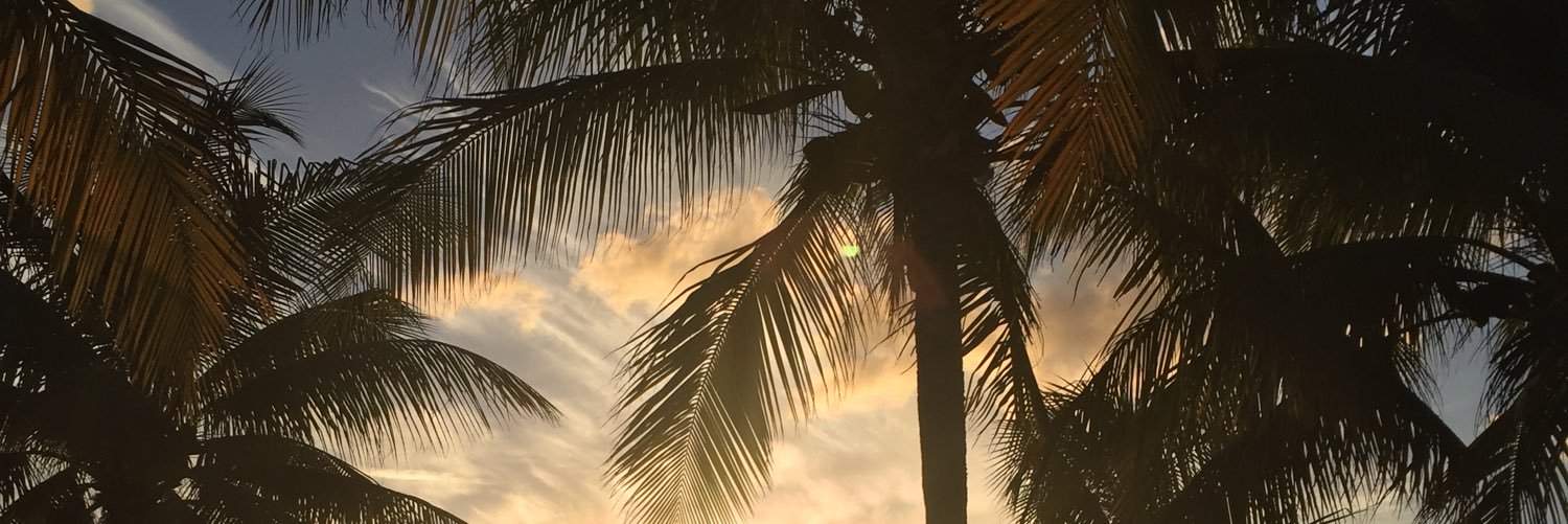 madisonjlatimer's profile banner image