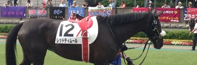 jackmasayuki's profile banner image