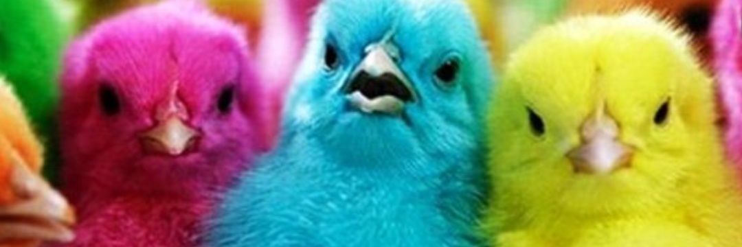 rontokantembok's profile banner image
