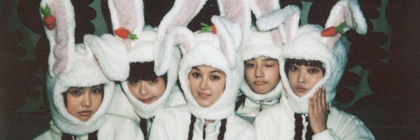CakeDegg Profile Banner
