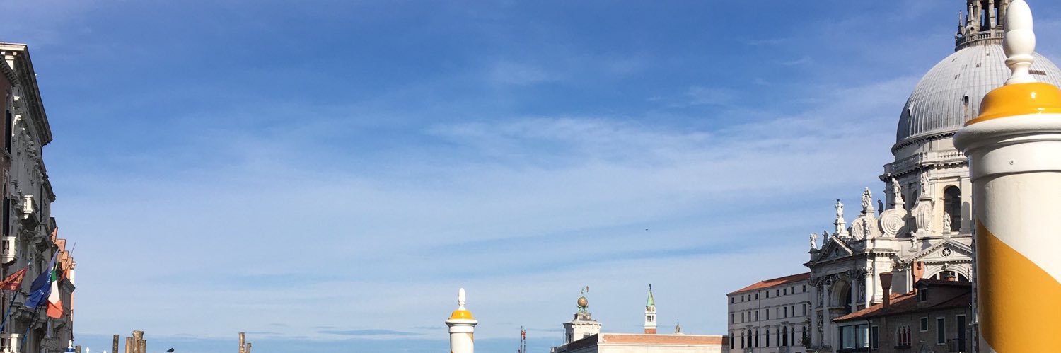emanuela zanchi banner