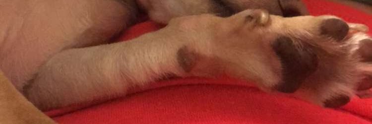 jacksmoove's profile banner image