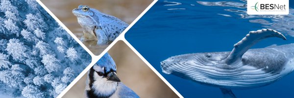 BESNet_UNDP Profile Banner