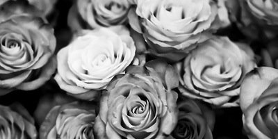 _pbacani's profile banner image