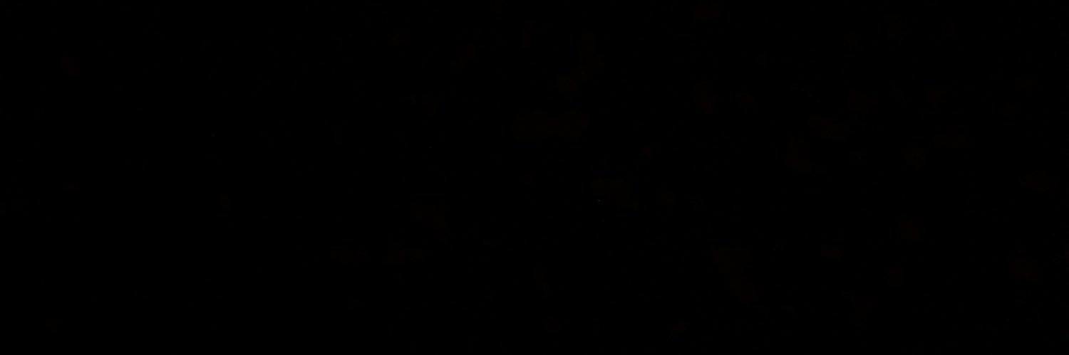 BuckleupOnline's profile banner image