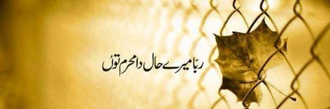MFAYYAZ85's profile banner image