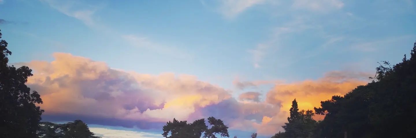 LoubnaFth's profile banner image