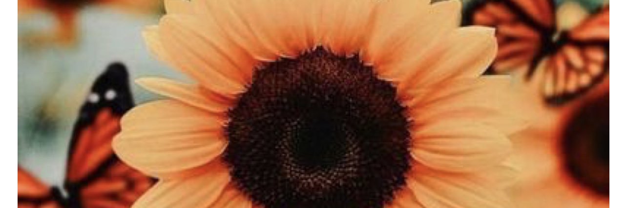 Luv_aahh's profile banner image