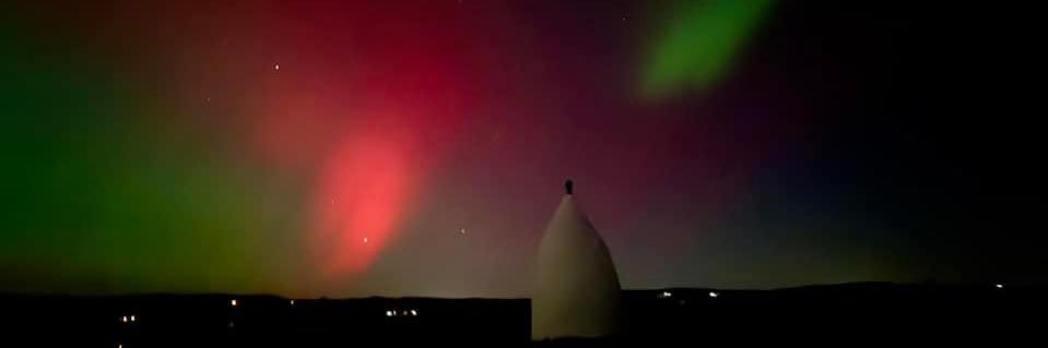 Shannon Procter banner