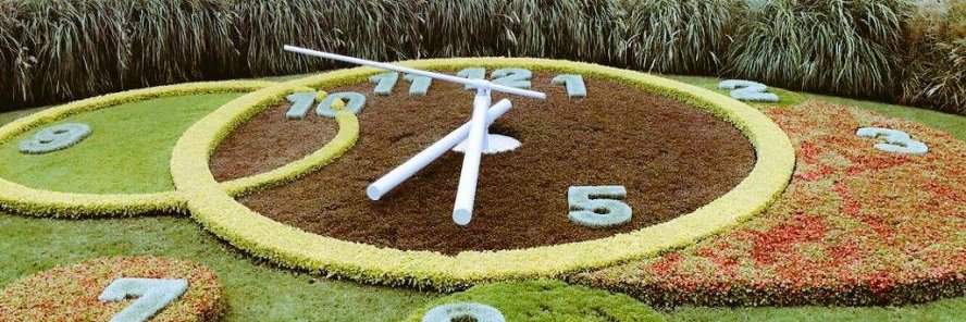 ملفي الشلاحي banner