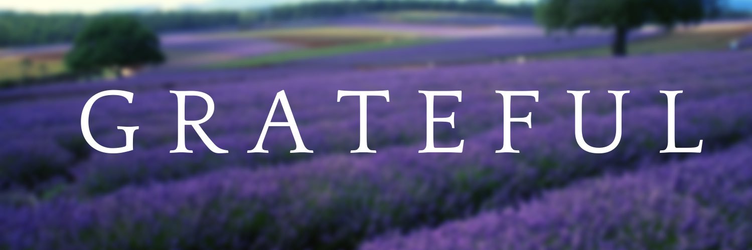 Sandy in Florida 😎 banner