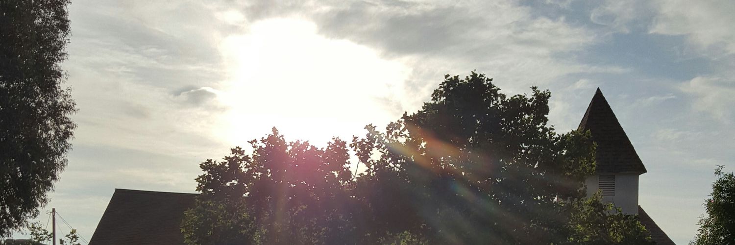 The_Madame's profile banner image