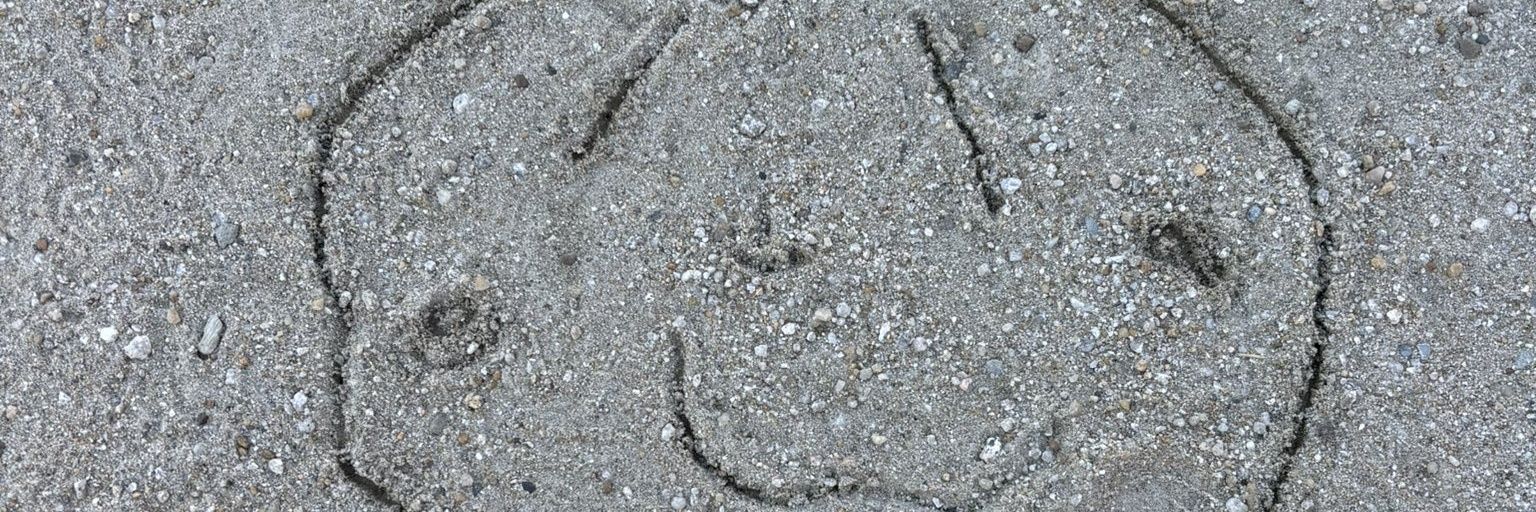 hoimicle's profile banner image