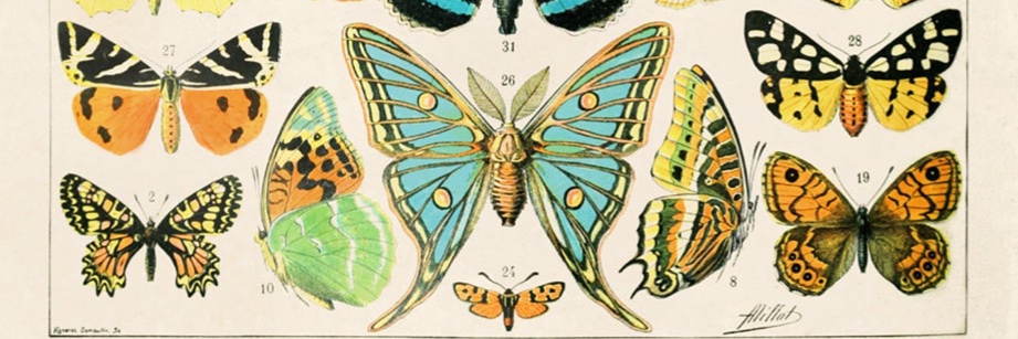 stephanie simbari banner