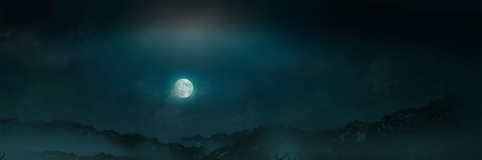 ywz_515's profile banner image