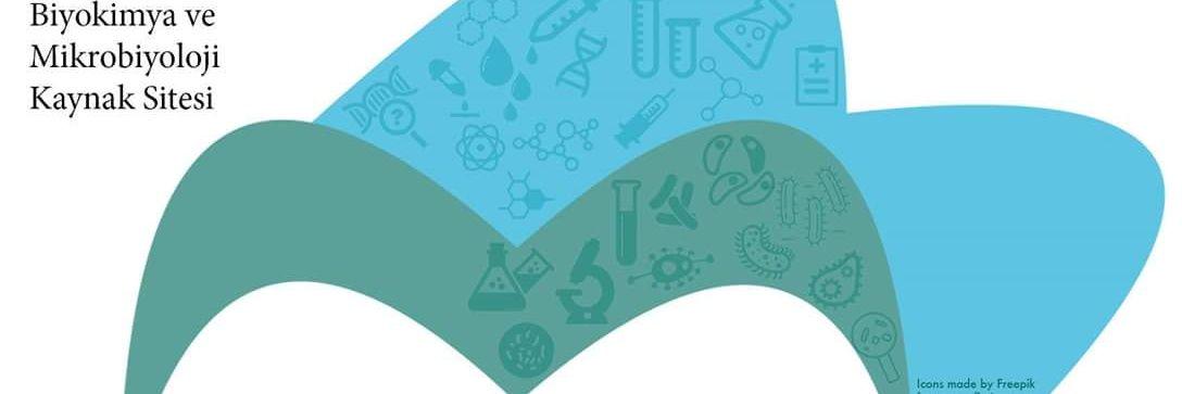 Mikrobiknet's profile banner image