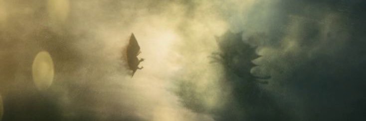 w banner